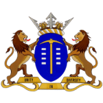 Professional Nurse General (x20) logo